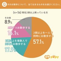 犬のお散歩について、当てはまるもの（提供画像）