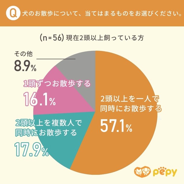 犬のお散歩について、当てはまるもの（提供画像）