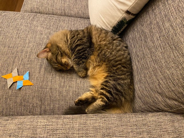 遊び疲れた（提供写真）