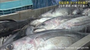 生鮮カツオ水揚げ日本一　宮城・気仙沼港にカツオ初水揚げ