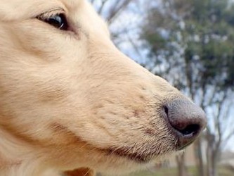 供養の形　お骨はどこに？　自宅？お墓？納骨堂？