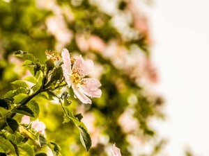 友達の男の子からの好意に気づき、初めて経験した眠れない夜