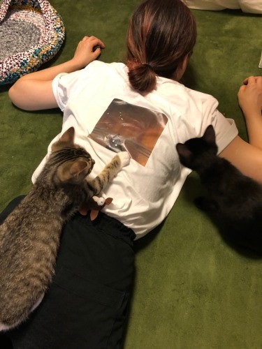 ６つ下の妹ヨーコさんとその夫のstuartさんは、アサジの危篤時も火葬の時も駆けつけ、一周忌にはアサジのプリントＴシャツを着てきたそう。もちろん新人２匹を大歓迎。２匹もヨーコさんを大歓迎（シロミさん提供）