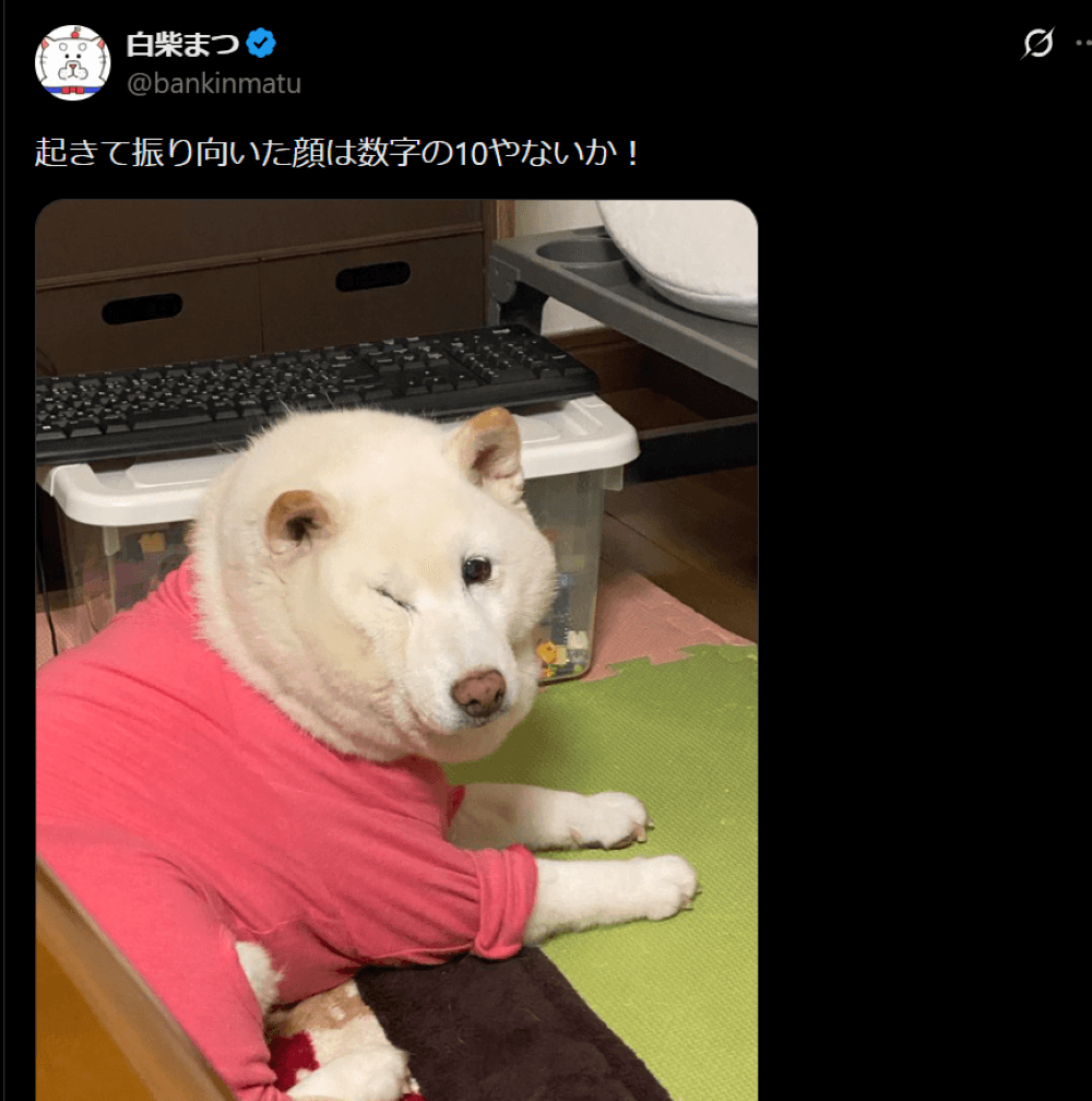 まつちゃんの寝起きの顔に1.3万いいね