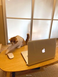 マウスを操作して何をしようというのか（@sco_horn）