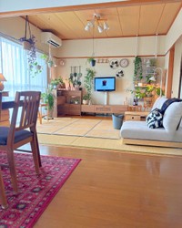 自宅で多くの植物を育てている/らーちゃんさん（@raja_yai_room）提供