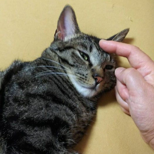 初の女子にみなデレデレ？