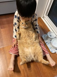 へそ天姿もマッチョじゃないんです（提供写真）