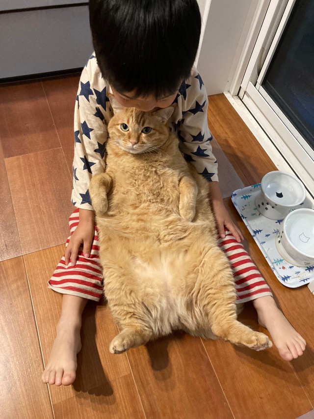 へそ天姿もマッチョじゃないんです（提供写真）