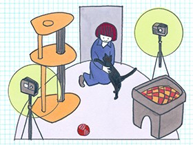 ネコ好きほどネコが嫌がる場所を触っている！？　こねくりまわしにご注意を