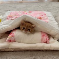 もうおっきしようかな=ちゃちゃまるすももさん（@manmaruchan21）提供