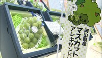 高いものは1房1万6200円　岡山県特産の「マスカット・オブ・アレキサンドリア」の販売始まる