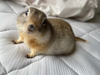  この子絶対自分のかわいさに気づいてる（提供写真）