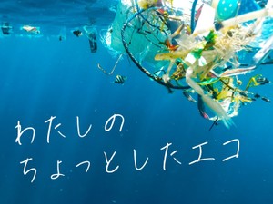 わたしのちょっとしたエコ