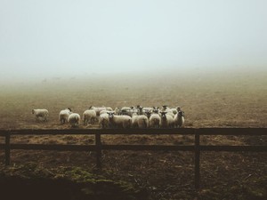 就活スタイルに身を包まないと社会人の切符はもらえないんですか？