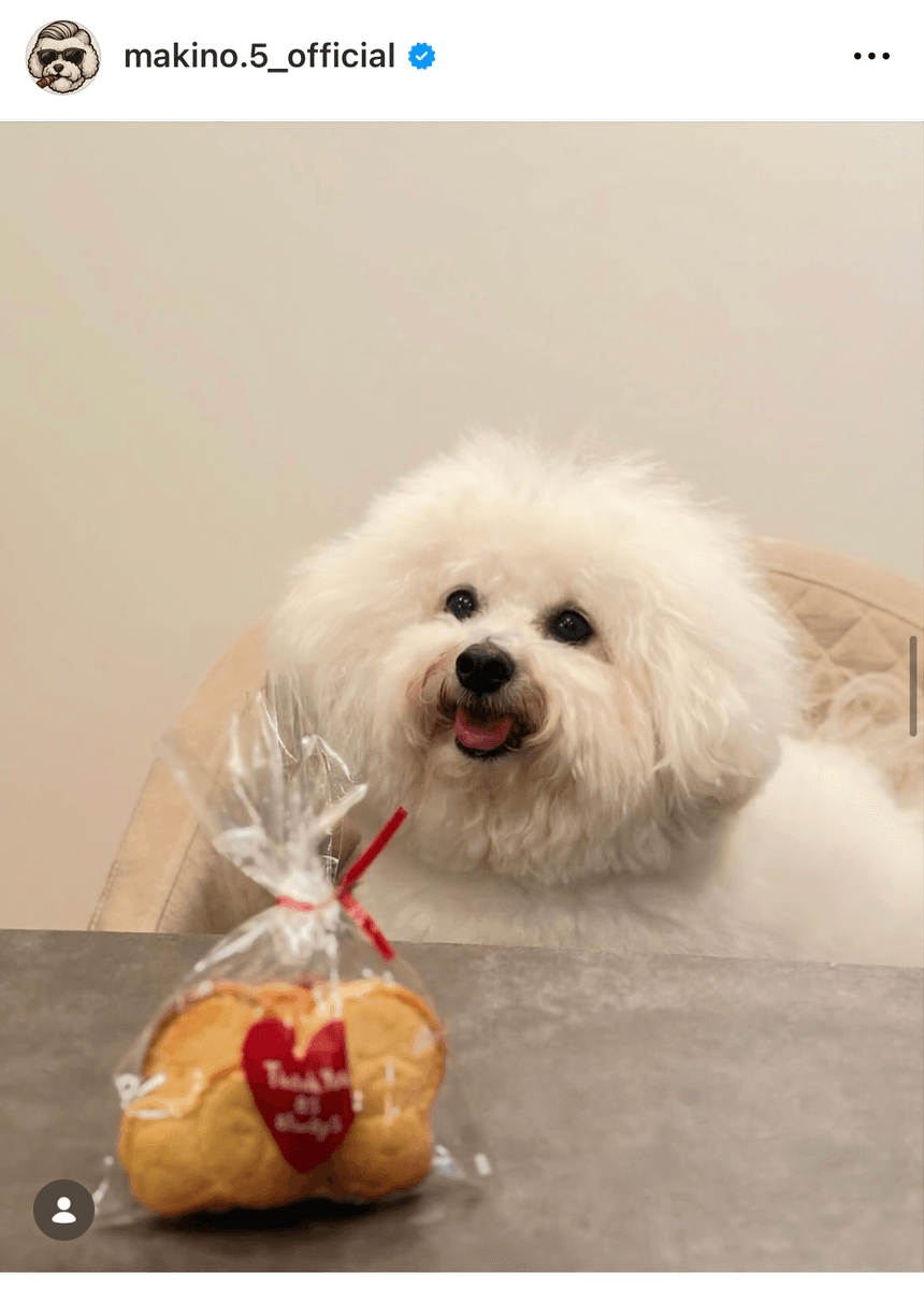 「ぱんちゃんのクッキーを焼いてくれました」（槙野智章 Tomoaki Makino (@makino.5_official)さんのインスタグラムより）