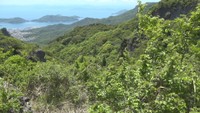 四望頂展望台周辺の岩場　香川・小豆島町　