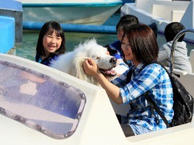 愛犬と観覧車やメリーゴーラウンドに！　ドッグランもあるよ