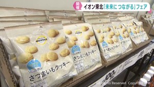 ＳＤＧｓに配慮した購買活動を提案するフェア　イオン東北