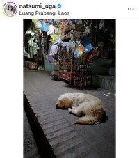 宇賀なつみのインスタグラム＠natsumi_ugaより