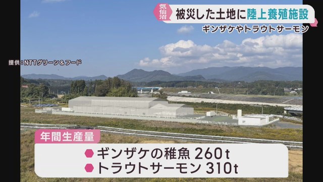 陸上養殖施設の地鎮祭　津波の被災地に建設　宮城・気仙沼市