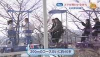スカイサイクル
