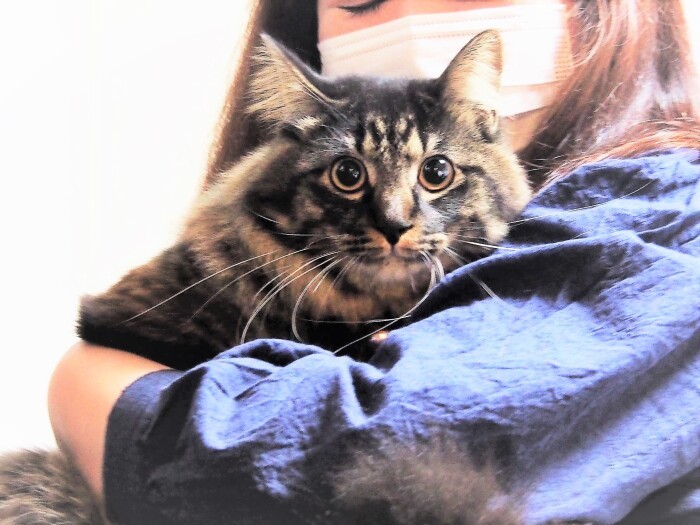 カメラは苦手。固まっちゃう