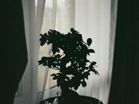 私は、その時まで寄り添う「白衣の死神」。最期の匂いから感じること