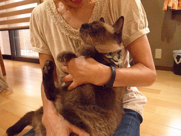 お母さん大好きだよ