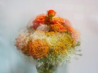 「好き」も「嬉しい」も、私の言葉がもうあなたを苦しめませんように