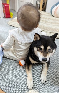 妹に寄りかかられてもこの通り！ どっしり構えるおはぎくん（画像提供：おはぎさん）