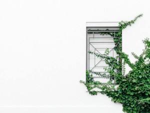 親友だった幼馴染の彼。世界一幸せだった私は、180度態度が変わった彼に別れを申し出た