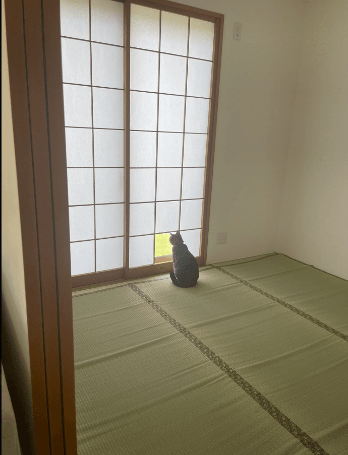 猫ちゃん専用の窓が完成 画像提供：サブよものおうち