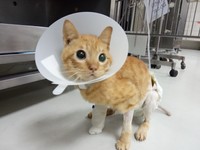 2度の大手術を乗り越えたテオくん