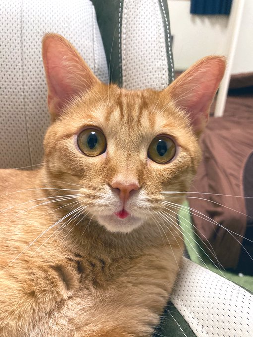 おどける顔もイケメン