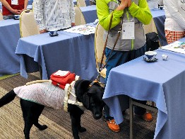 盲導犬６２匹も参加して利用者らが総会　「事故どう防ぐか」
