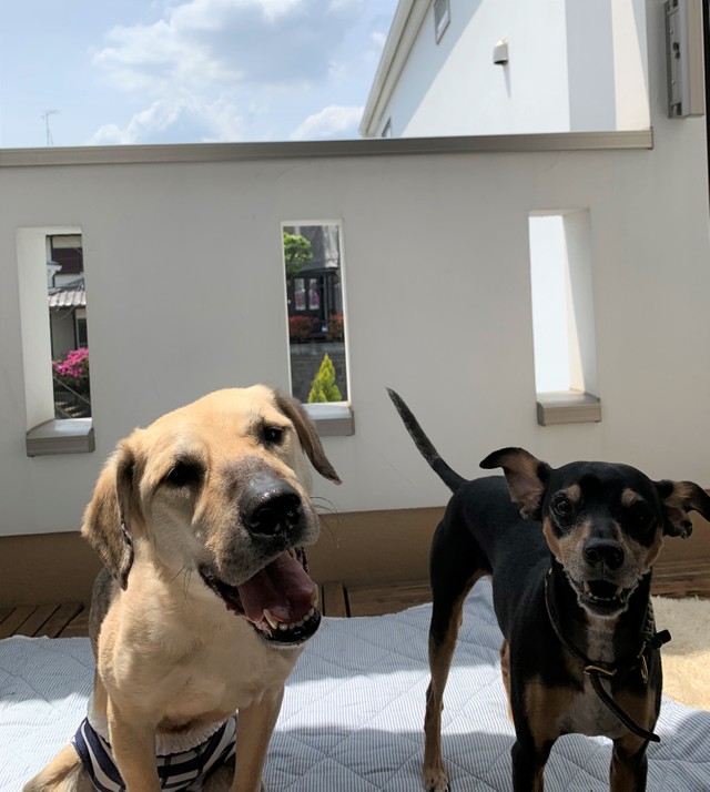 ご機嫌さんな笑顔