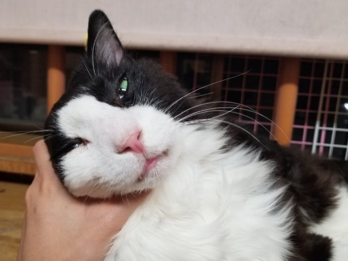 ずっとずーっとこのままいたいぜ…
（写真提供 佐藤夕香子さん）　　