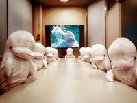 大人たちさんね＾＾／ 横浜・八景島シーパラダイス アニメ ゲーム部　公式Xより