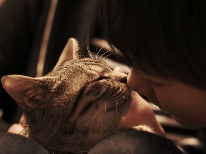 僕らは仲良しなんだよね、鼻ちゅー