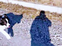 飼い主さんのそばまで駆けて来たディークスくん（画像提供：A&Dさん）