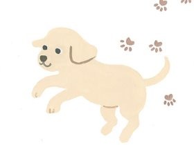 子犬、子猫を飼い始める前に　飼い主が知っておくべきこと