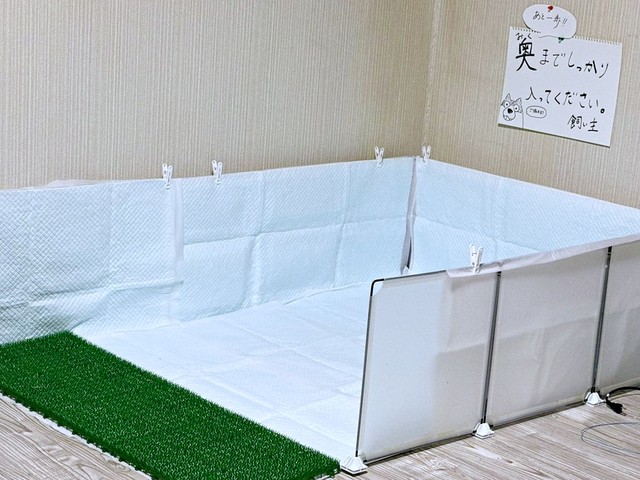 福丸くんのために作った室内のトイレエリア。ポスターも掲示しました（画像提供：ふくまる＋ぶな＝さん）