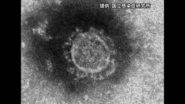  【速報】高松市の70代男性が新型コロナウイルスに感染　4月20日以来、県内で81日ぶりの確認