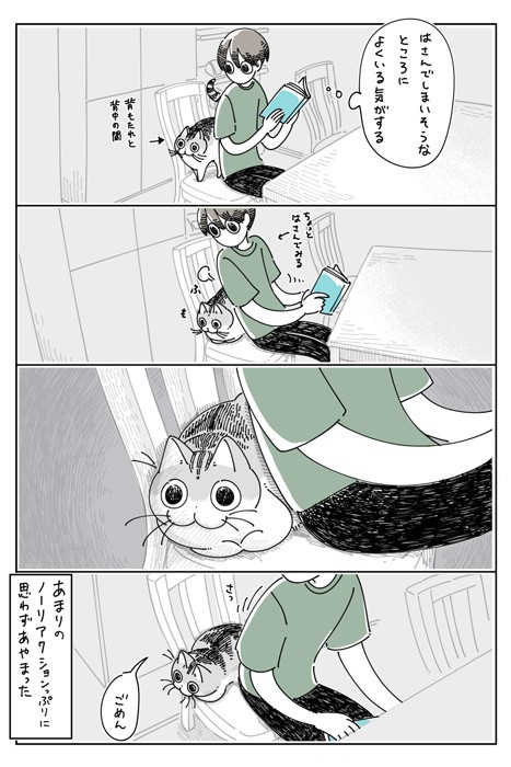 【漫画】「はさまりそうなネコ」（提供：キュルZさん）