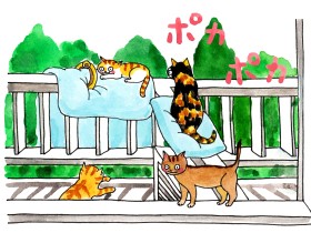 イエネコたち、無断外出はいかんよ　愛猫「ムク」をきっかけに我が家は完全室内飼いに