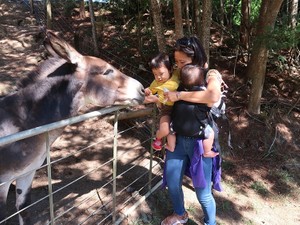 ホームステイ先を「出て行ってほしい」の通告　親子留学は正しかったのか