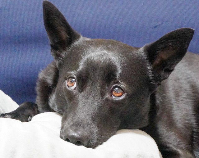 ※池畑さん提供