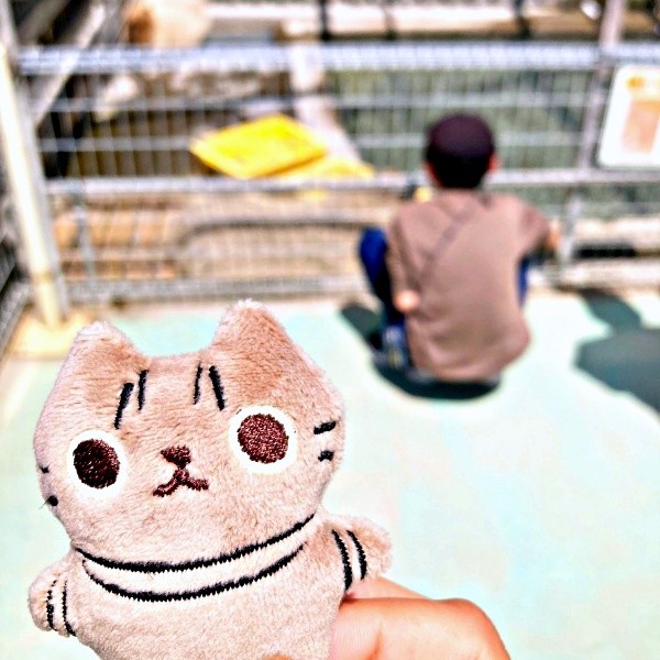 息子さんと訪れた動植物園での一枚（画像提供：ともさん）