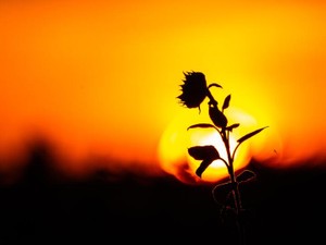 走り続けてきた私が気付いた、立ち止まるからこそ見える景色や幸せ